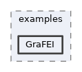 analysis/examples/GraFEI