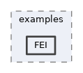 analysis/examples/FEI