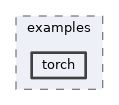 mva/examples/torch