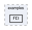 analysis/examples/FEI