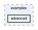 mva/examples/advanced