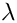 $ \lambda $