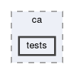 tracking/trackFindingCDC/ca/tests