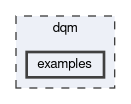 dqm/examples