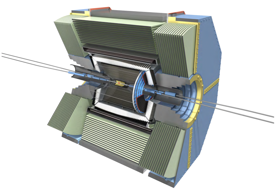 The Belle II detector.